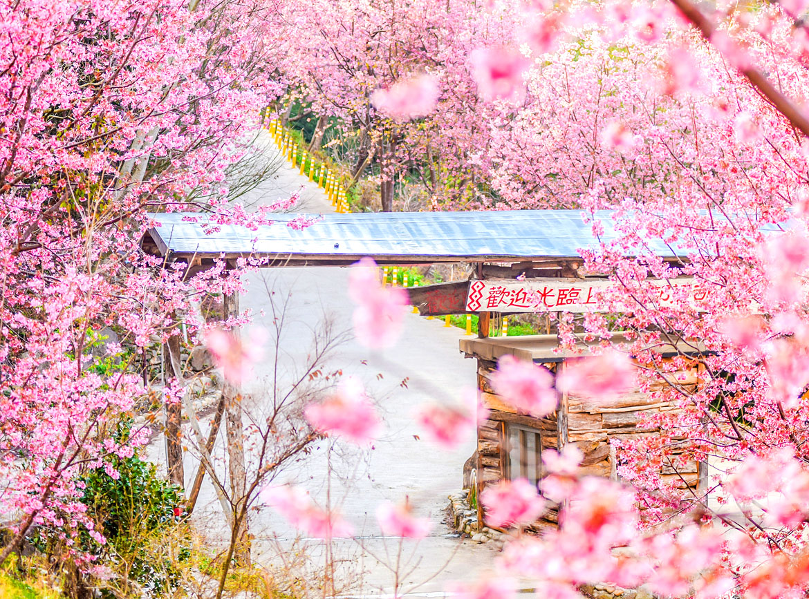 圖片1